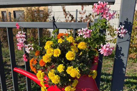 Bunt blühende Gießkannen zieren das Ortsbild von Wurmberg