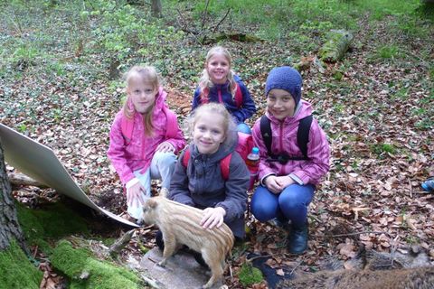 Waldtag Klasse 2a/b