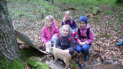 Waldtag Klasse 2a/b