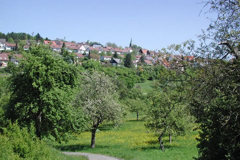 Blick auf Wurmberg, umrahmt von grünen Feldern und Wäldern