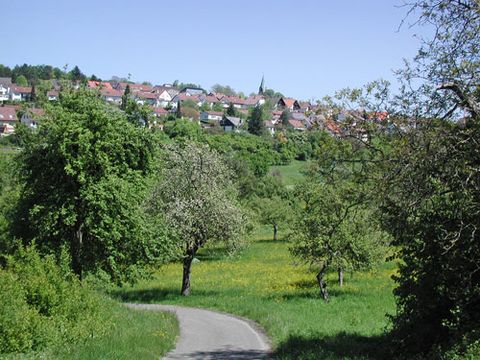 Blick auf Wurmberg, umrahmt von grünen Feldern und Wäldern