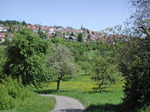 Blick auf Wurmberg, umrahmt von grünen Feldern und Wäldern