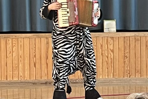 Das kleine Zebra